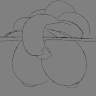 2026 tagme // 1920x1920 // 49KB