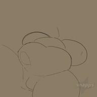 timelapse // 720x720, 15s // 2.6MB